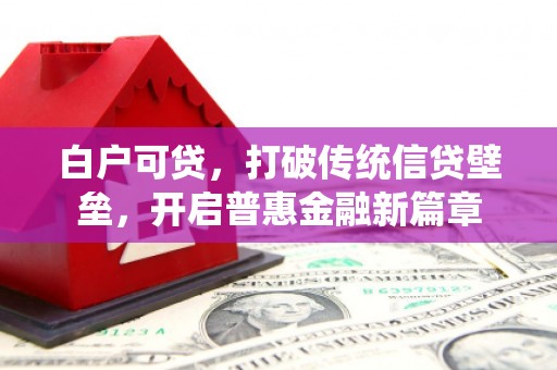 苏家屯白户可贷，打破传统信贷壁垒，开启普惠金融新篇章