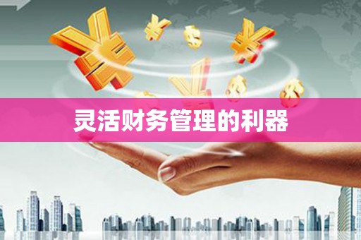 苏家屯灵活财务管理的利器