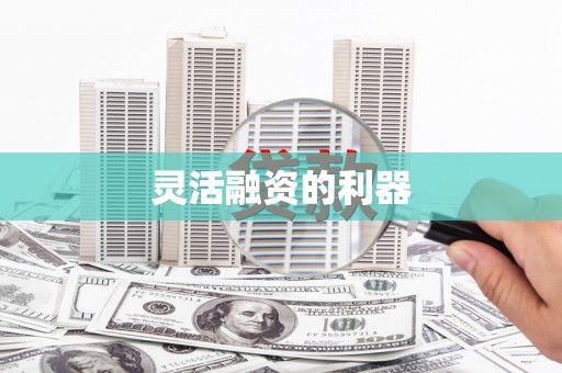 苏家屯灵活融资的利器