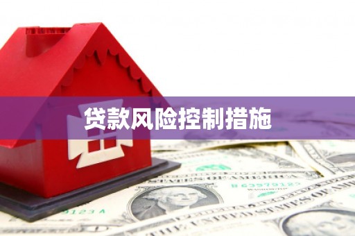 苏家屯贷款风险控制措施