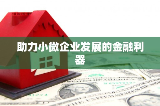 苏家屯助力小微企业发展的金融利器