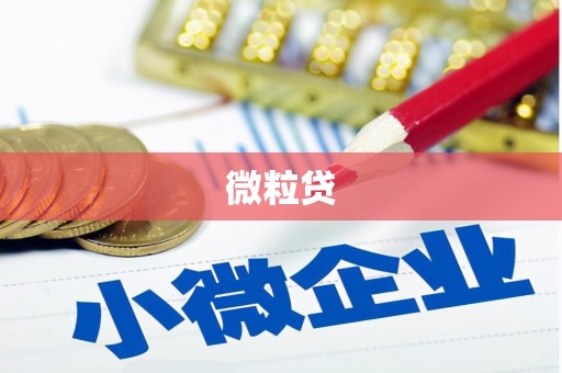 苏家屯微粒贷