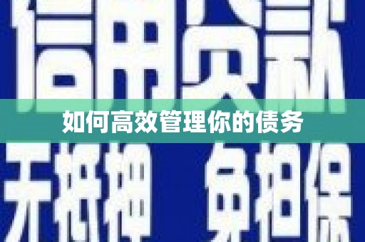 苏家屯如何高效管理你的债务