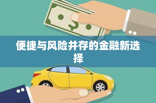 苏家屯便捷与风险并存的金融新选择