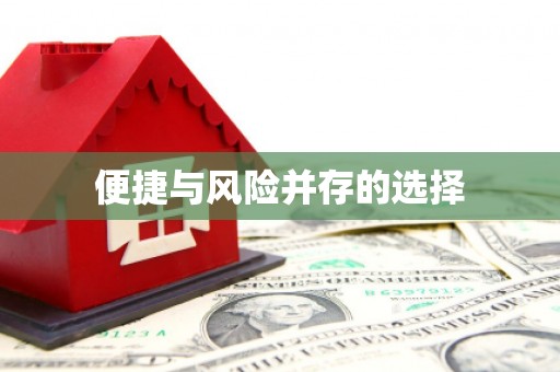 苏家屯便捷与风险并存的选择