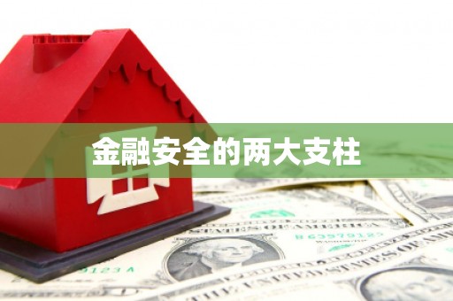 苏家屯金融安全的两大支柱