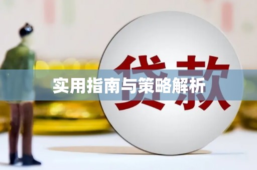 苏家屯实用指南与策略解析