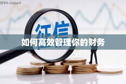 苏家屯如何高效管理你的财务