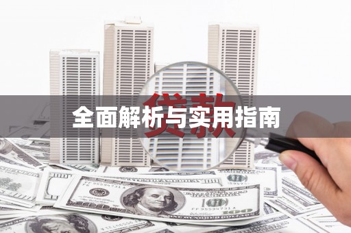 苏家屯全面解析与实用指南