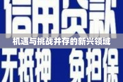 苏家屯机遇与挑战并存的新兴领域