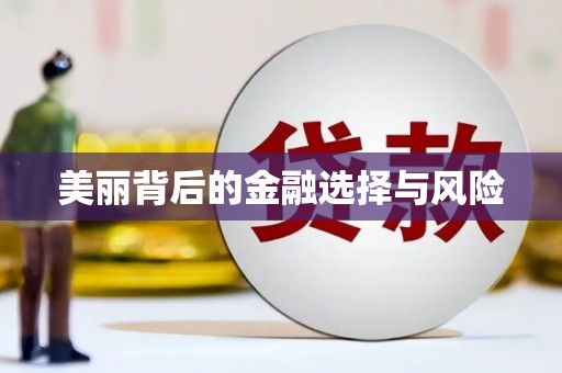 苏家屯美丽背后的金融选择与风险