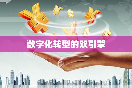 苏家屯数字化转型的双引擎