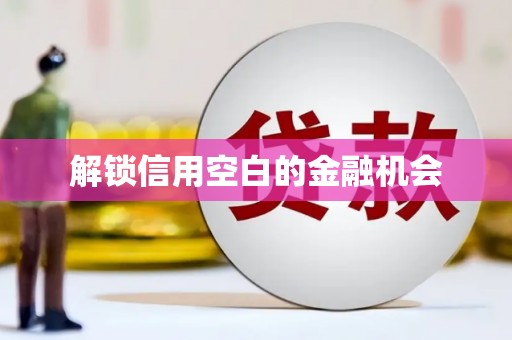 苏家屯解锁信用空白的金融机会