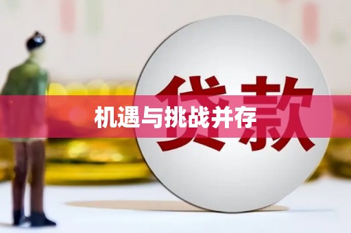 苏家屯机遇与挑战并存