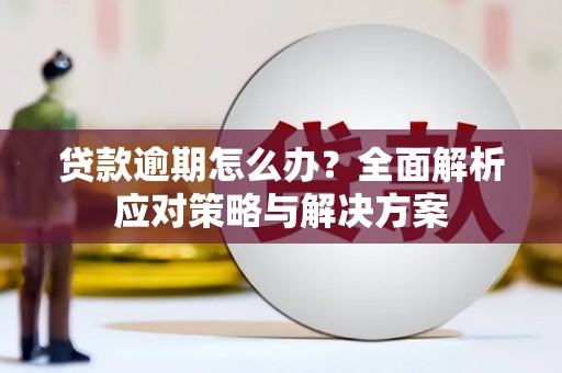苏家屯贷款逾期怎么办？全面解析应对策略与解决方案