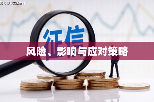 苏家屯风险、影响与应对策略