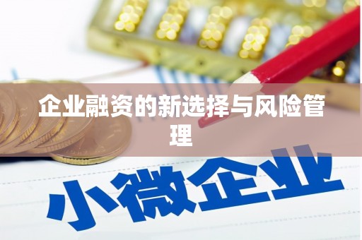 苏家屯企业融资的新选择与风险管理