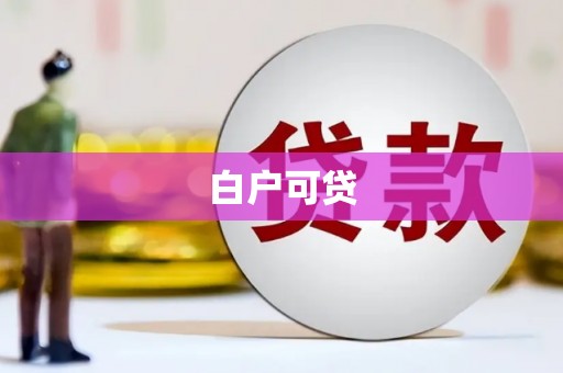苏家屯白户可贷