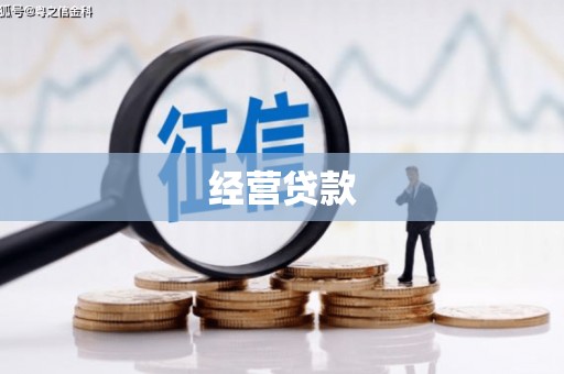 苏家屯经营贷款
