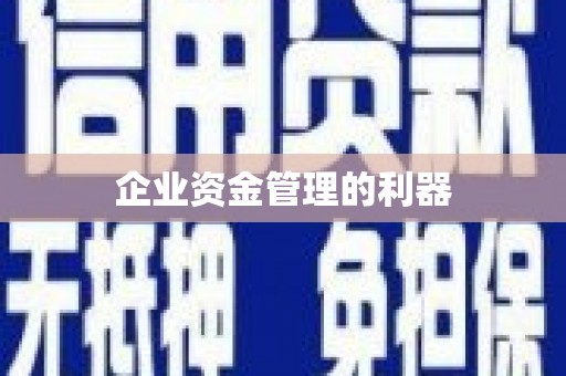 苏家屯企业资金管理的利器