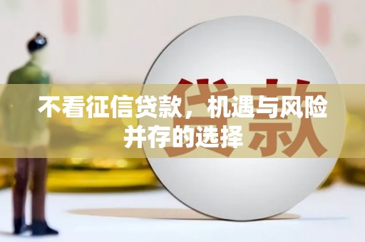 苏家屯不看征信贷款，机遇与风险并存的选择