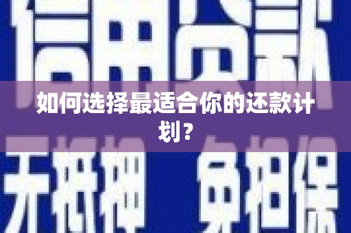 苏家屯如何选择最适合你的还款计划？