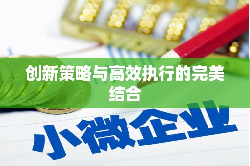 苏家屯创新策略与高效执行的完美结合