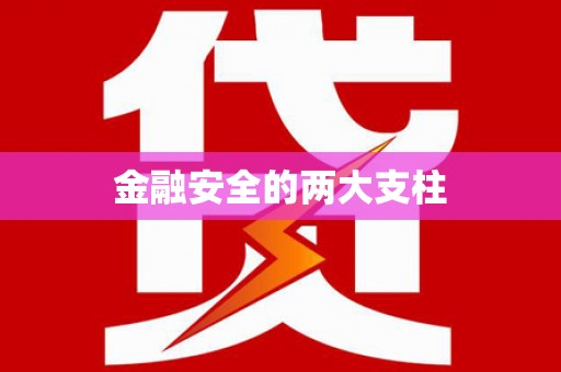 苏家屯金融安全的两大支柱