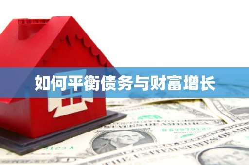 苏家屯如何平衡债务与财富增长