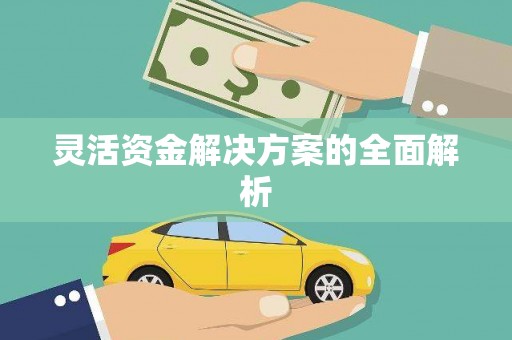 苏家屯灵活资金解决方案的全面解析