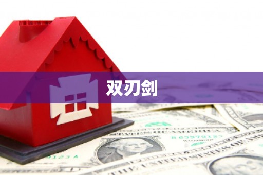 苏家屯双刃剑