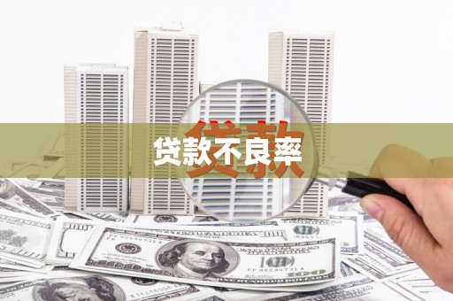 苏家屯贷款不良率