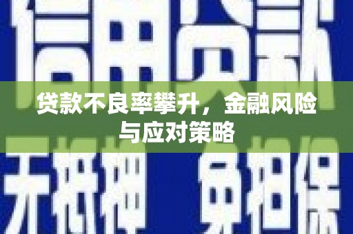 苏家屯贷款不良率攀升，金融风险与应对策略
