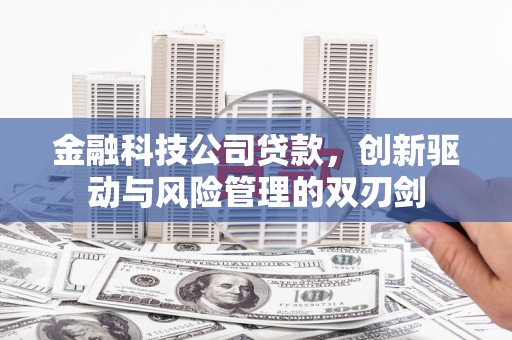 苏家屯金融科技公司贷款，创新驱动与风险管理的双刃剑