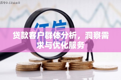 苏家屯贷款客户群体分析，洞察需求与优化服务